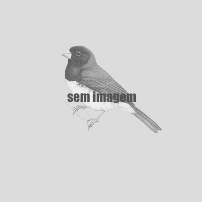 PERNETA 